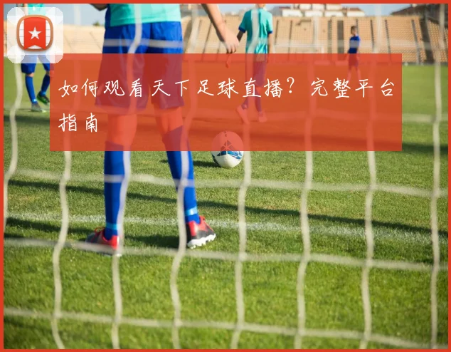 如何观看天下足球直播?完整平台指南