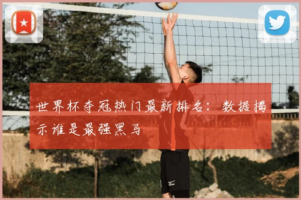 世界杯夺冠热门最新排名：数据揭示谁是最强黑马