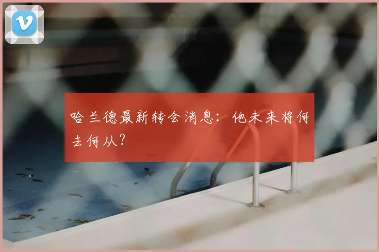 哈兰德最新转会消息：他未来将何去何从？